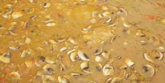 Préparation d'une soupe pour des repas gratuit